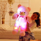 Light Up LED Teddy Bear