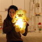 Light Up LED Teddy Bear